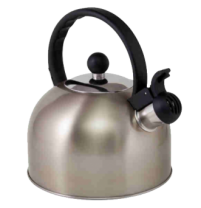 Boil It Stainless Steel Whistling Kettle - 2 L